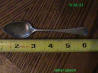 silver spoon.JPG