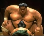 Sumo.jpg