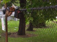 Gloves on fence 2.jpg