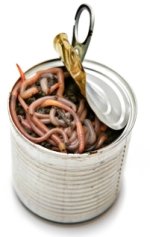 can-of-worms.jpg