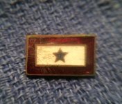 blue star mother's flag pin.jpg