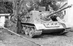 SU-85 23PzDiv.jpg