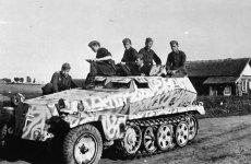 Sdkfz_250_alt_camouflage.jpg