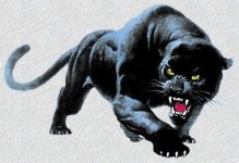 Panther-00000106755060.jpg