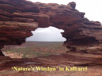natures window.jpg