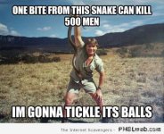 8-steve-irwin-snake-meme.jpg