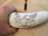 1st scrimshaw 025resize.jpg