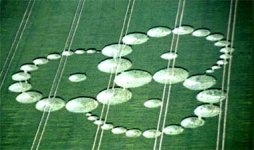 cropcircle_sutter.jpg