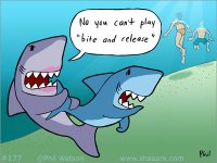 shark-cartoon-177.jpg