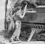 MG_03a M4 Sherman Tank.jpg