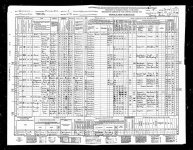 Grubich census.jpg