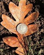 2.  1942-S Mercury dime dug at 7 inches.jpg