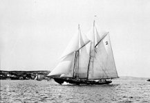 300px-Bluenose_sailing_1921.jpg