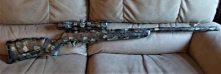 camo gamo air rifle.jpg