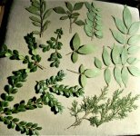 Step10 pressed foliage for templates.jpg