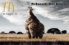 mcdonaldshitsafrica.jpg