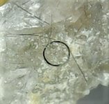 Bolangerite ring Roger's mine Madoc, Ont., Can 60X.jpg