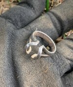 Silver Ring in GLove 31 Jul 22.jpg
