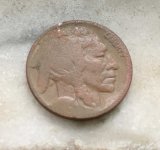 Buffalo Nickel Front 04 Aug 22.jpg