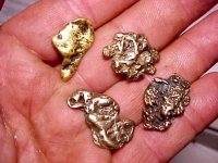 Gold nuggets2.jpg