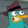 Perry Platypus