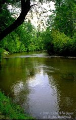 fort benning's river bank caches.jpg