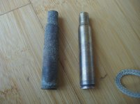 low res Cleaned shells 1.jpg