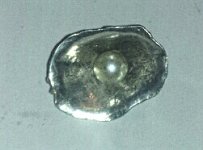 clamshell silver's.jpg