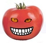 tomatofacetr35.jpg