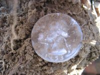 Mojave 4 Silver Coins 008.jpg