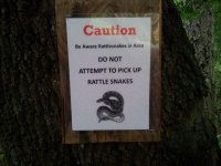 Rattle snakes!.jpg