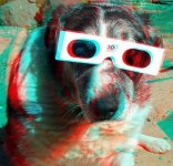 3D_dog.jpg