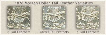 1878-tail-feather-varieties.jpg