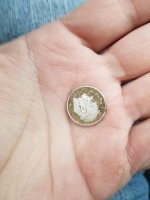 20171225_153122.jpg