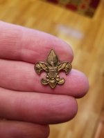 1-20-18 BSA pin.jpg