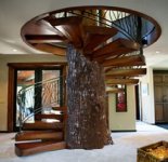 tree_stairs_phili.jpg