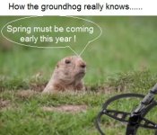 groundhogdetect.jpg