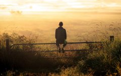 girl-backpack-thinking-sunset-field-fence-moment-field-reeds-hd-fullscreen.jpg