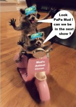 Muds_raccoons_riding.jpg