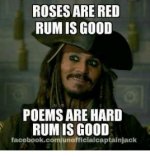 roses-are-red-rum-is-good-poems-are-hard-rum-14462940.jpg