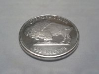 Buffalo Silver Round - Cleaned - Reverse (Resized).jpg