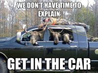 funny-moose-get-in-the-car.jpg