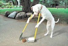 dogcleaningpoop.jpg