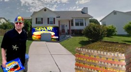 David_spam_house500.jpg