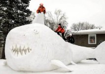 Scubas_snow-sculpture_shark.jpg