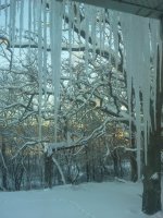 Our Icicles #1.jpg