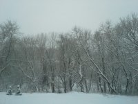 Our Snowy Yard #1.jpg