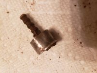 20190404_201000 (800x600).jpg