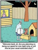 dog house comic.jpg