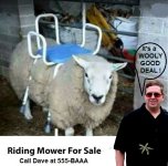 Daves_riding_mower_sale.jpg